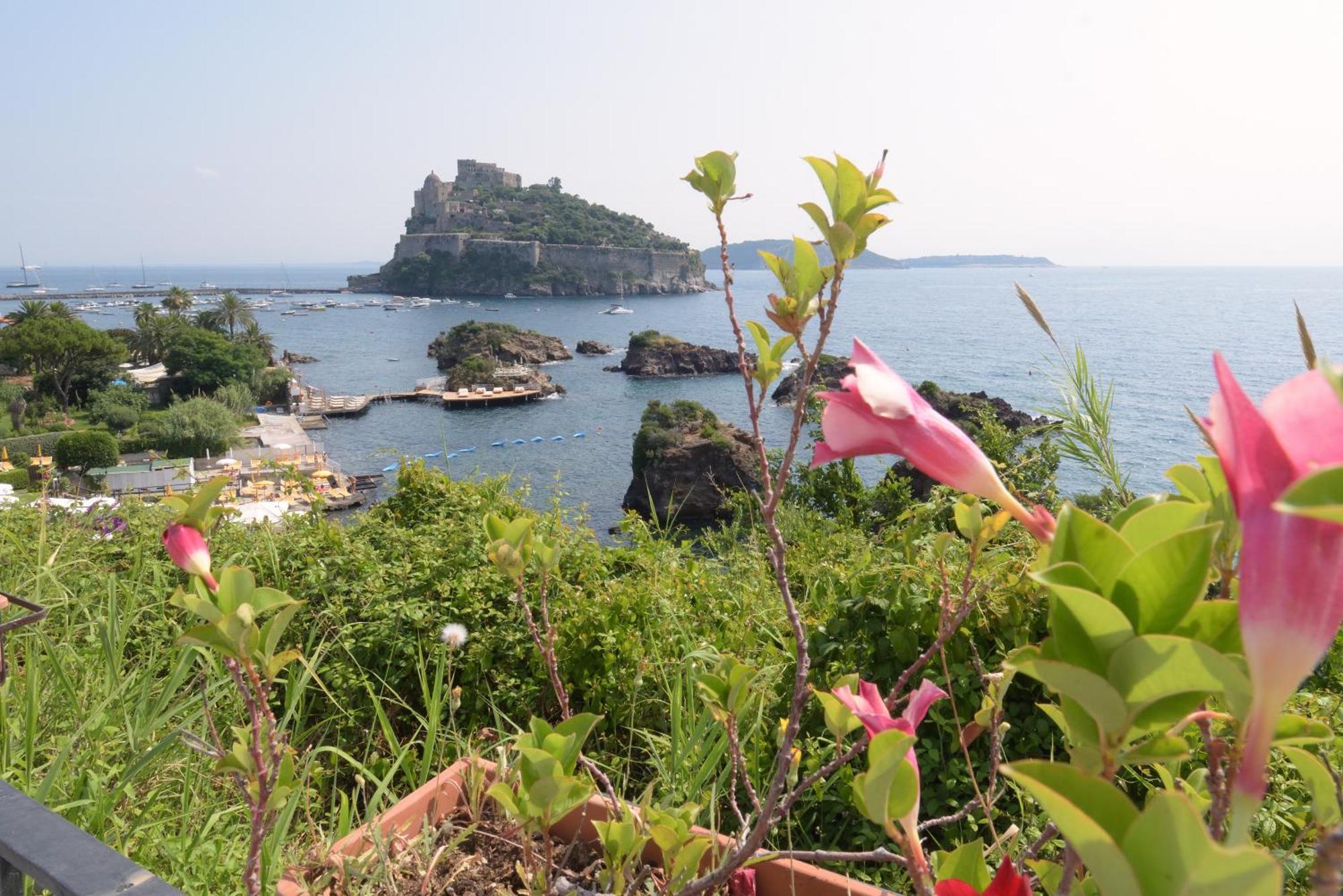 Hotel La Ninfea Ischia Dış mekan fotoğraf